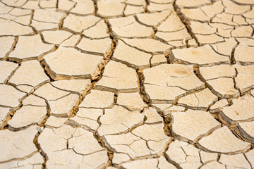 Abstract background of cracked earth