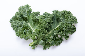 A healthy fresh curly kale