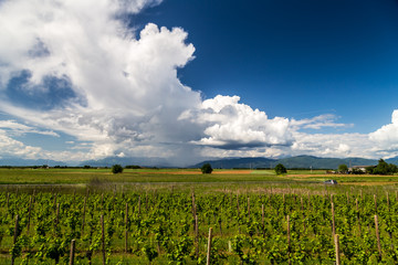 storm over the fields