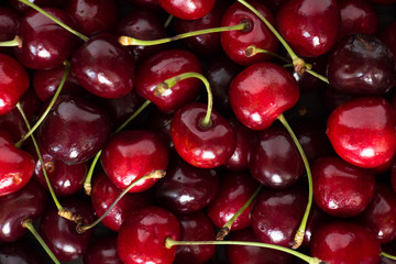 Background of fresh ripe cherries.