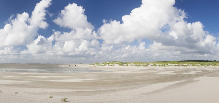 Dunes at a beach, Sankt Peter Ording, Eiderstedt Peninsula, Schleswig Holstein, Germany