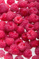 A beautiful selection of freshly picked ripe red raspberries.