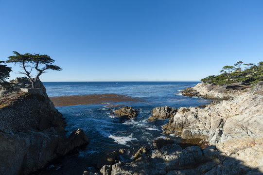 Pebble beach, 17 Miles Drive, Carmel, California