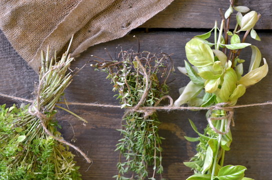 The bunches of herbs on wooden background.