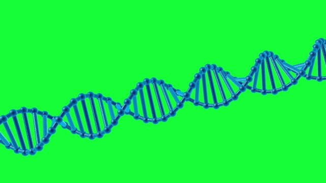 3D animation of DNA on a green background. DNA chain with green screen. High definition video 4K.