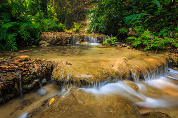 wonderful waterfall with colorful tree in thailand