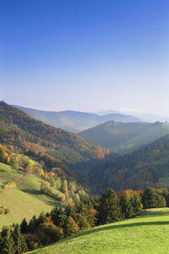 View over a valley in autumn, Wieden, Black Forest, Baden Wurttemberg, Germany
