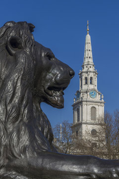 Lion at foot of Nelson's column and St. Martin-in-the-Fields church, Trafalgar Square, London