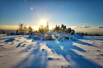 Winter landscape, an HDR image with deep snow and sun, captured on Schliffkopf mountain in Northern Black Forest, Baden-Wurttemberg, Germany 