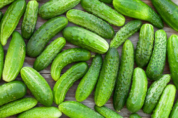 Ripe cucumbers