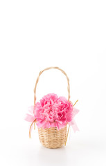 Fototapeta na wymiar pink carnations flower