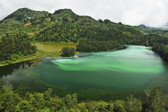 Telaga Warna (Colorful Lake), Dieng Plateau, Java, Indonesia
