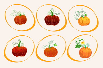 vector six different pumpkins