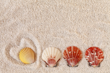 Beach Background Top