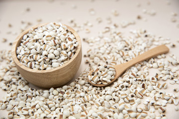 millet is useful cereal, and applied make food a variety  