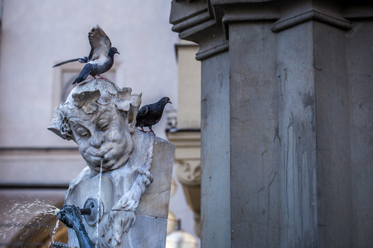 Tauben auf dem Brunnenbuberl in München am Karlstor
