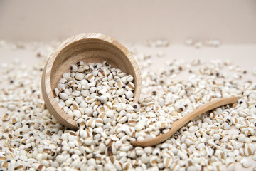 millet is useful cereal, and applied make food a variety  