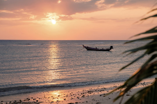 Beautiful view of sunset on the beach. Palm and boats in a sunlight. - Powered by Adobe