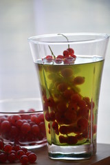 red currant