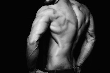 Muscular back and sexy torso of young man. Perfect body, muscles
