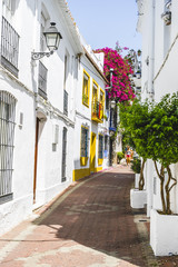 Summer, streets of Marbella in Spain with flowers and plants on