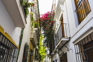 Fototapeta na wymiar streets of Marbella in Spain with flowers and plants on the faca