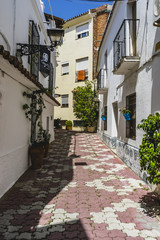 Fototapeta na wymiar streets of Marbella in Spain with flowers and plants on the faca