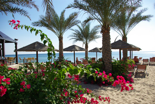 Resorts Fujairah. UAE. Coast of the Indian Ocean. Hotels and recreation areas on the shores of the Indian Ocean. Beautiful landscaping. Ponds with clear water.

