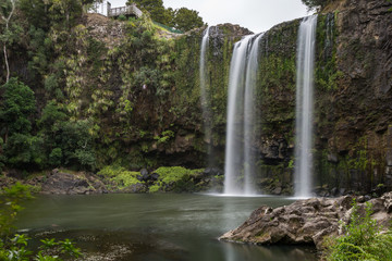 Whangarei Falls shoot from the lower basin