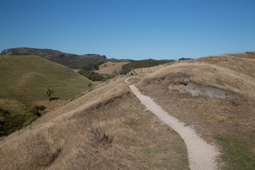 Hiking treck through the meadow and the hills
