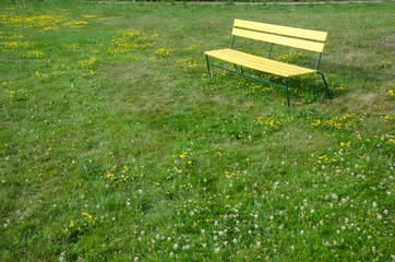 Fototapeta premium The Yellow Bench