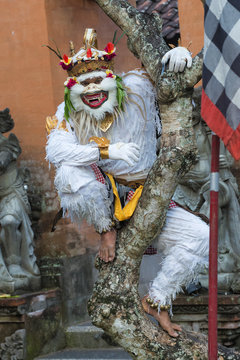 Balinese Kecak dancer, Ubud, Bali, Indonesia