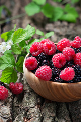 Ripe  blackberries and raspberries in bowl