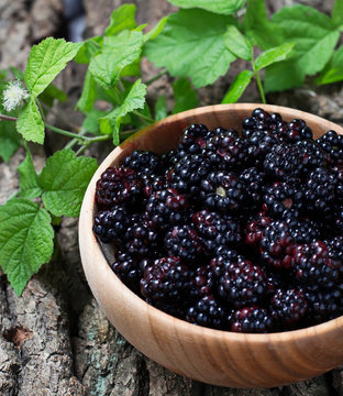 Ripe sweet  blackberries  in bowl
