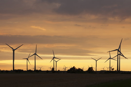 Wind turbines at sunset, Fehmarn, Baltic Sea, Schleswig Holstein, Germany