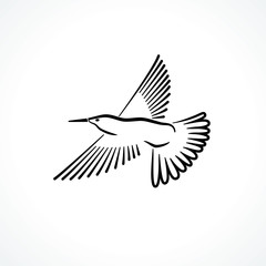 Flying Bird
