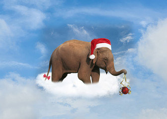 Elephant with Santa's red hat and gift on the cloud - 88364486