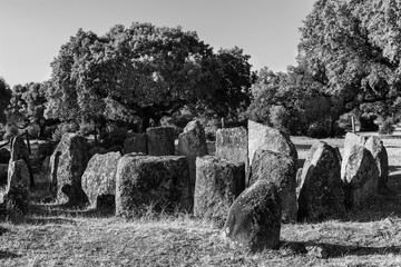 The Dolmen of the Great Oak is of type of circular chamber with long corridor. Montehermoso (Caceres). Spain