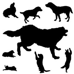 silhouette of dogs