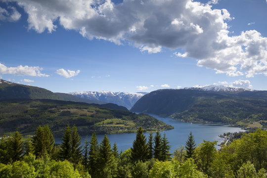 Elevated view over the picturesque Ulvik fjord, Ulvik, Hordaland