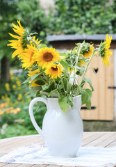 Obraz premium Sonnenblumen in einem Milchkrug