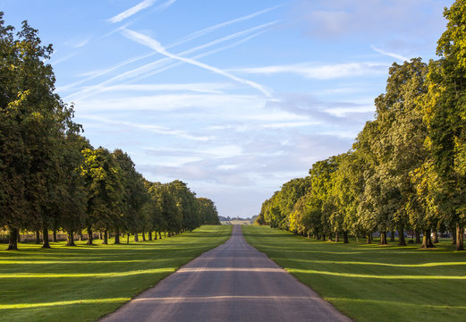 The Long Walk, Windsor, Berkshire