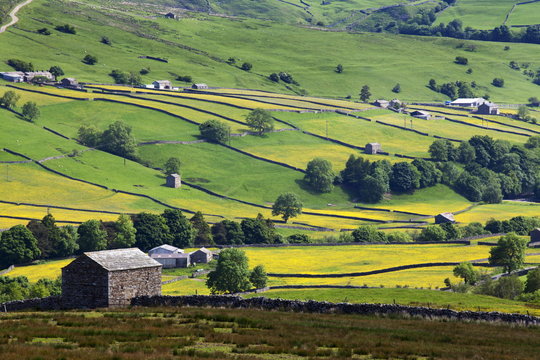 Swaledale in summer from Askrigg High Road near Muker, Yorkshire Dales, Yorkshire