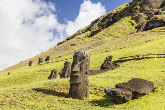 Moai sculptures in various stages of completion at Rano Raraku, the quarry site for all moai on Easter Island, Rapa Nui National Park, Easter Island (Isla de Pascua), Chile