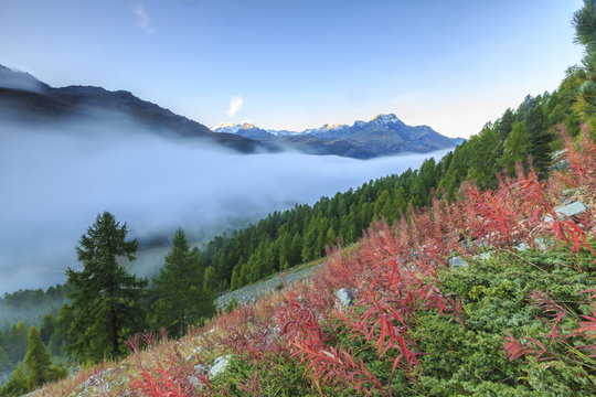 Autumn mist dissolving and revealing the top of Piz la Margna towering over the other peaks of Engadine, near St. Moritz, Graubunden