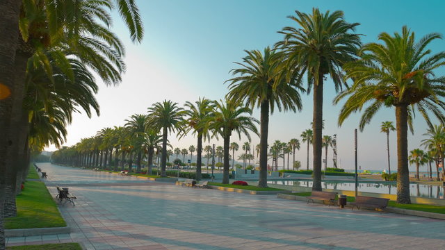 Palm trees promenade in Salou, Spain, Europe