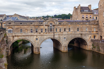 Fototapeta premium Lavendelblüten