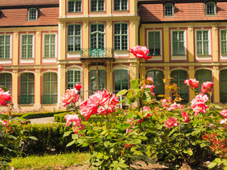 Fototapeta na wymiar abbots palace and flowers in gdansk oliva park