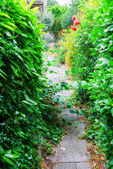 Naklejka premium zugewucherter Gartenweg
