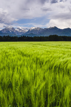 Kamnik Alps seen from near Kranj, Slovenia